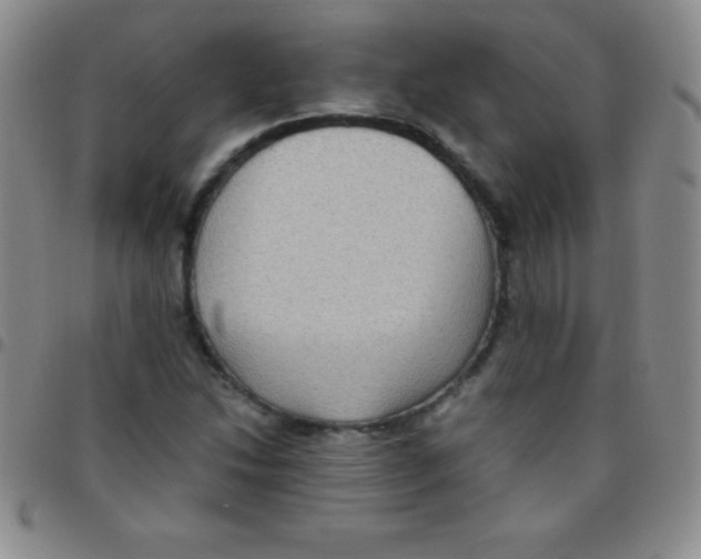 X0000097481214200803141927