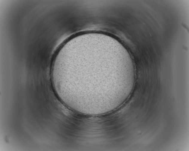 X0000097481216200803141927