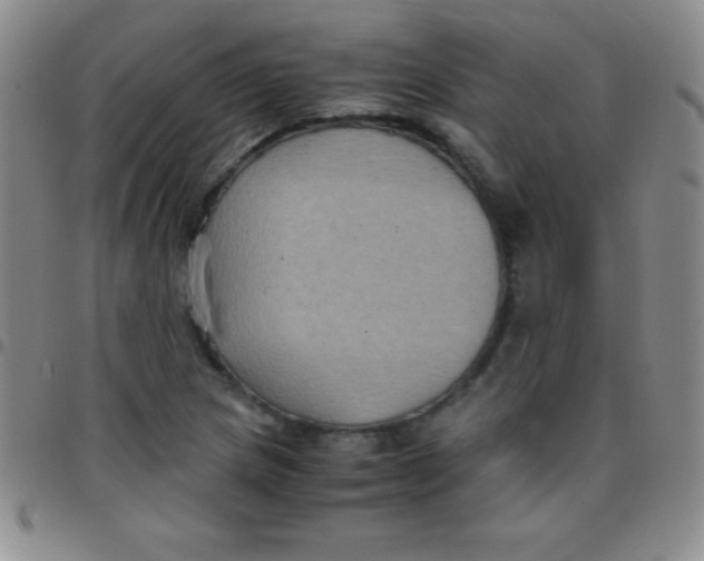 X0000097481217200803141927