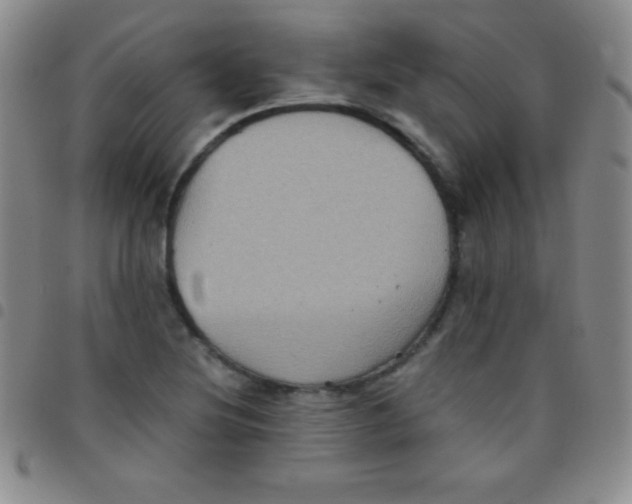 X0000097481220200803141927