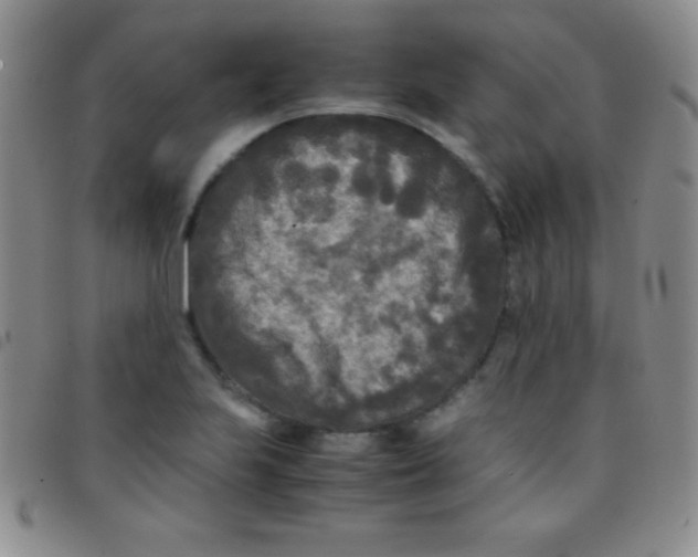 X0000097481223200803141927