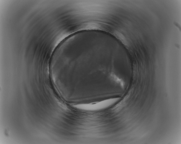 X0000097481226200803141927