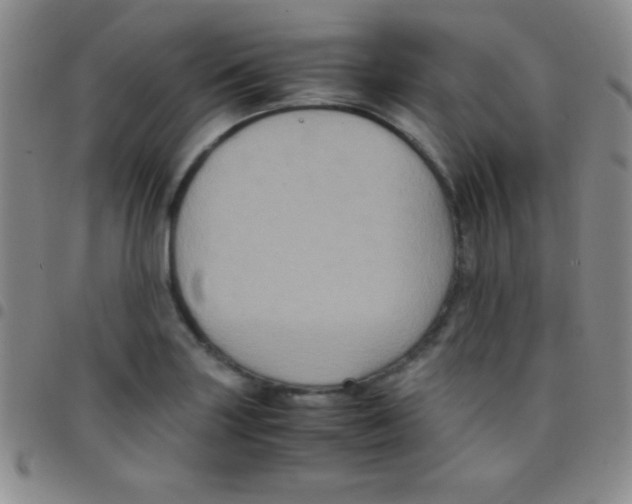 X0000097481227200803141927