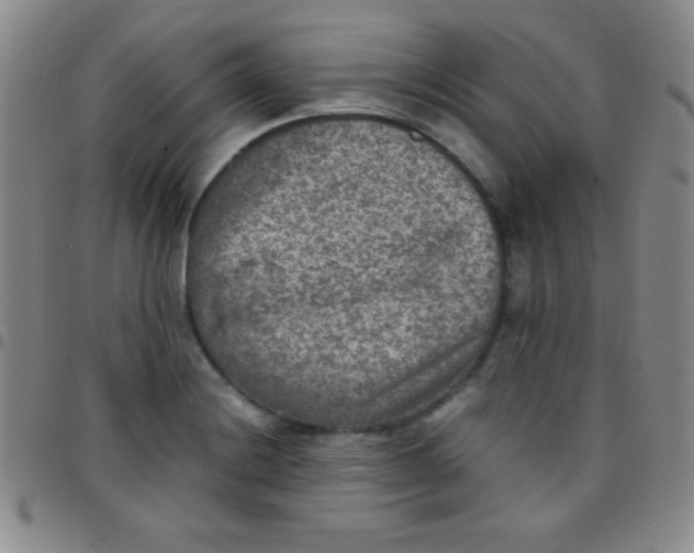 X0000097481228200803141927