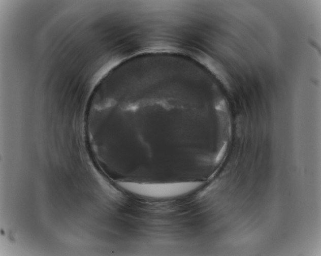 X0000097481229200803141927