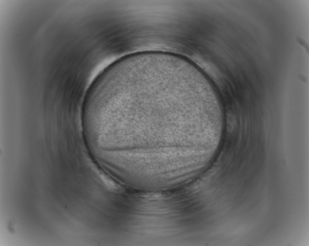 X0000097481230200803141927