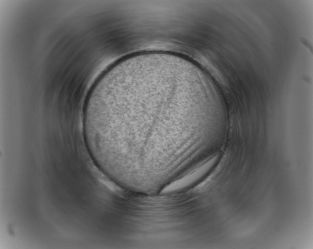 X0000097481232200803141927