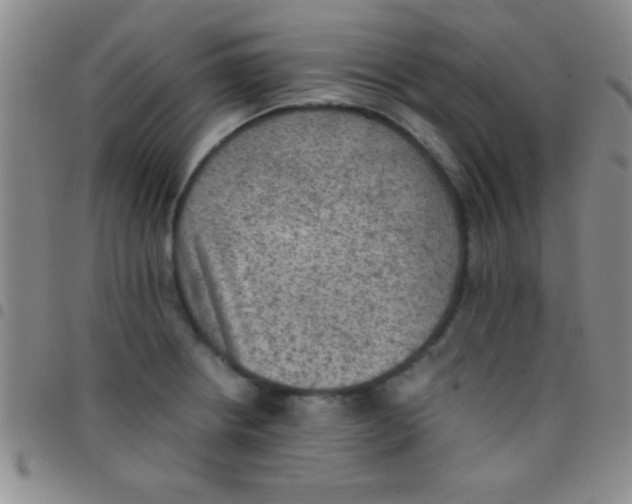 X0000097481234200803141927