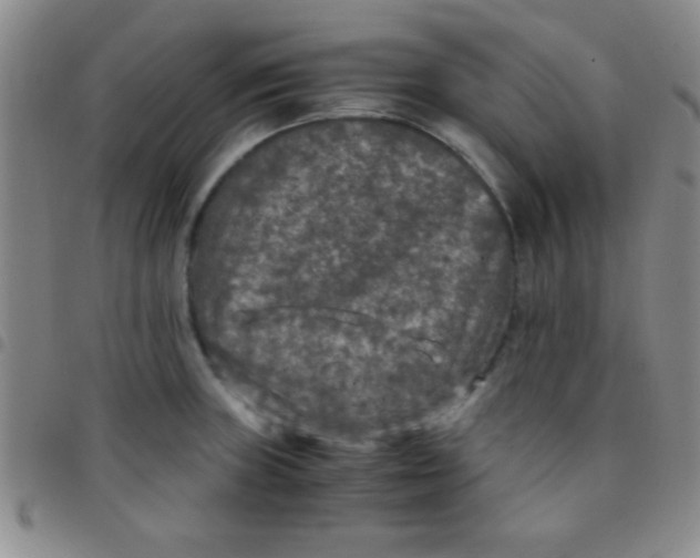 X0000097481235200803141928