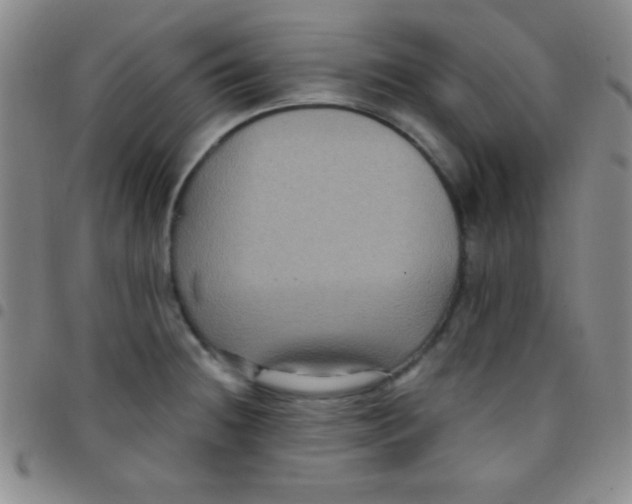 X0000097481236200803141928