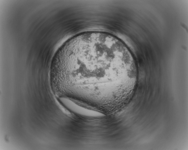 X0000097481237200803141928