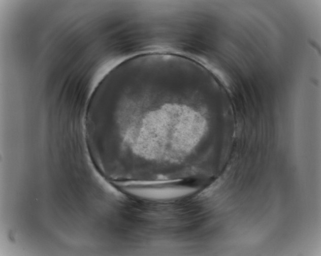 X0000097481239200803141928