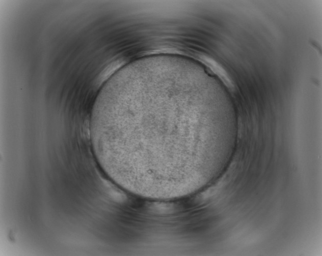 X0000097481241200803141928