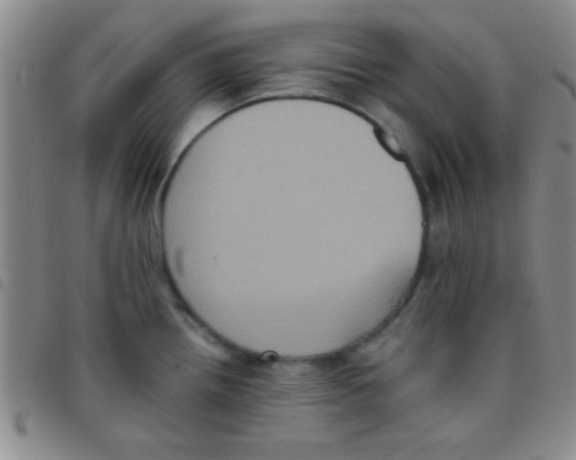 X0000097481242200803141928