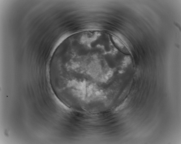 X0000097481243200803141928