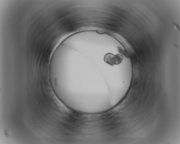 X0000097481244200803141928