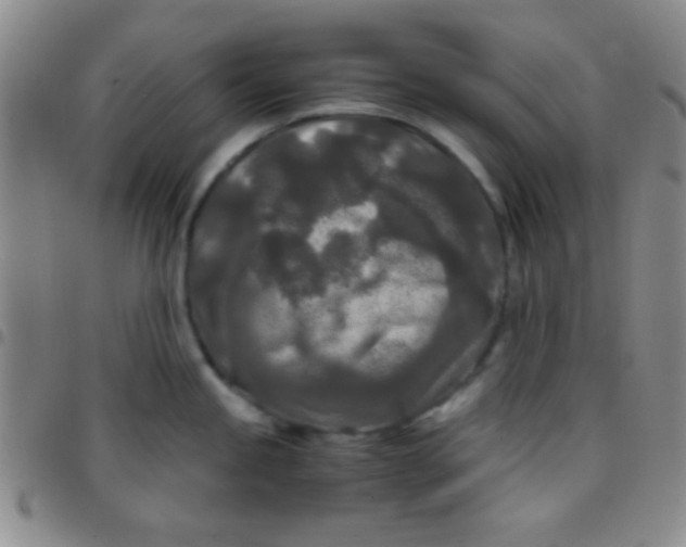 X0000097481245200803141928