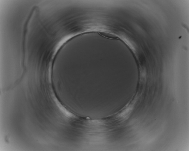 X0000097481246200803141928