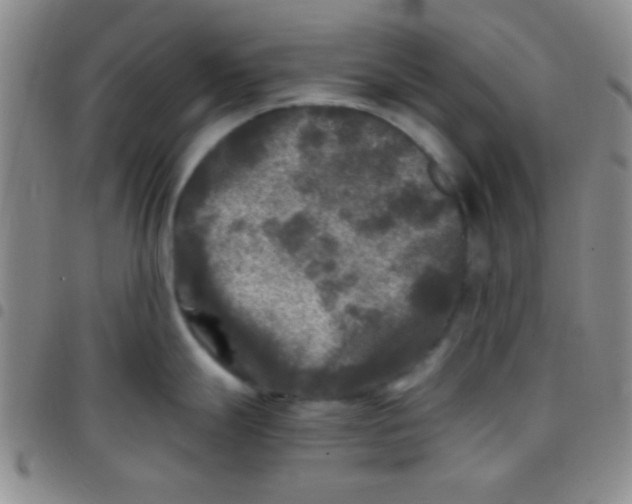 X0000097481247200803141928