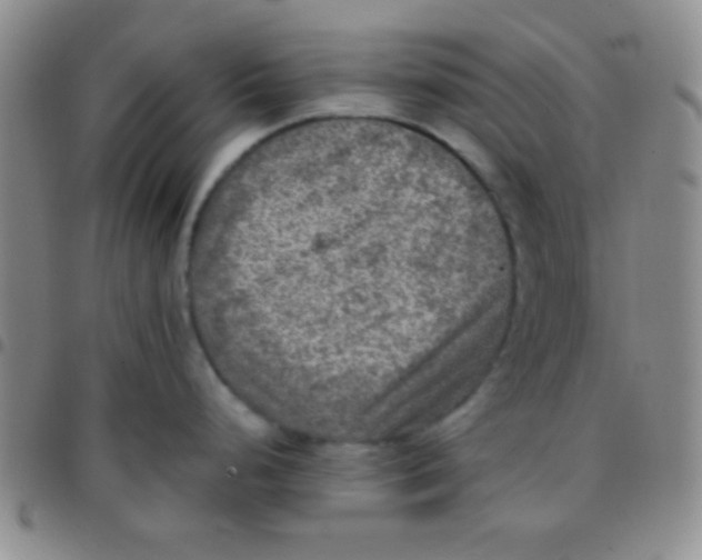 X0000097481248200803141928