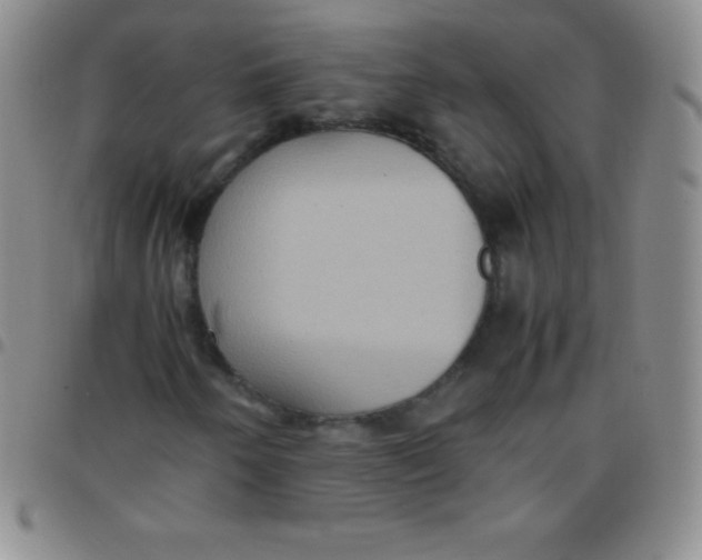 X0000097481250200803141927