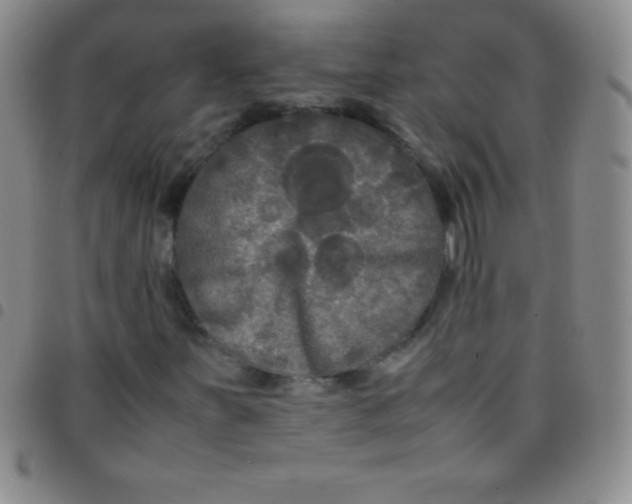 X0000097481251200803141927