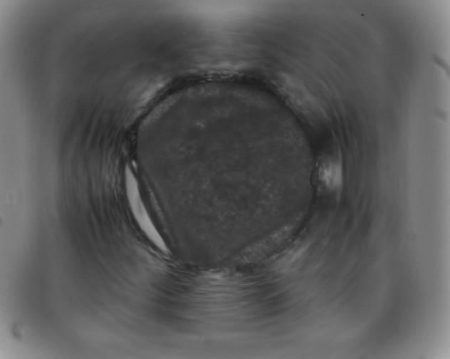 X0000097481252200803141927