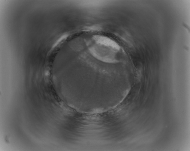 X0000097481254200803141927