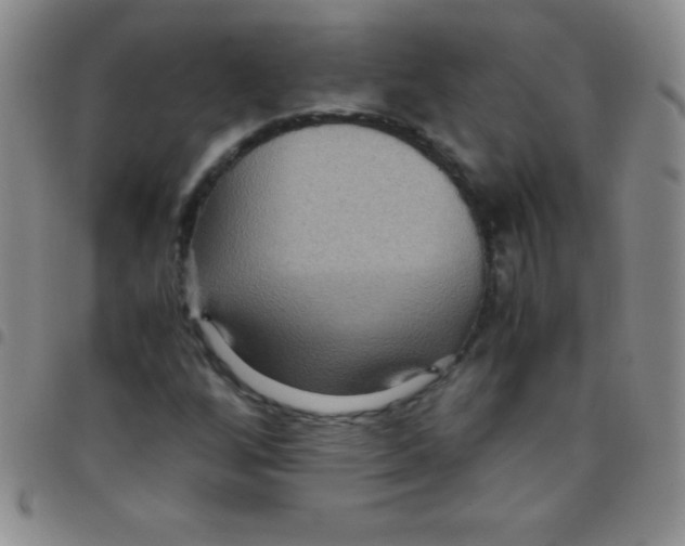 X0000097481256200803141927