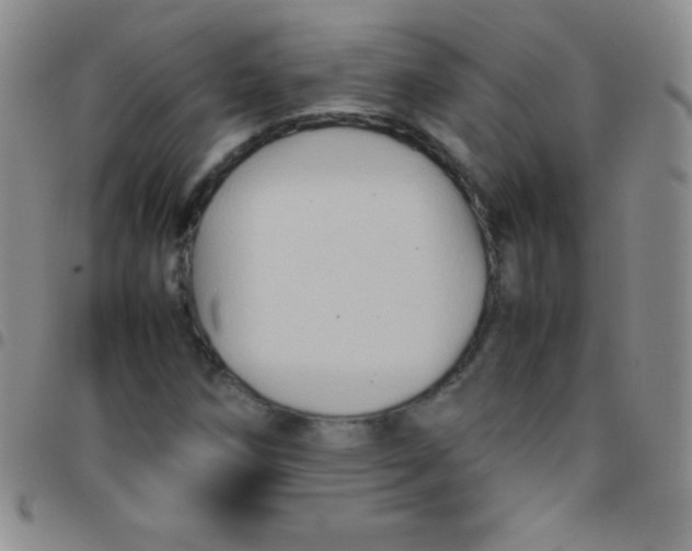 X0000097481258200803141927