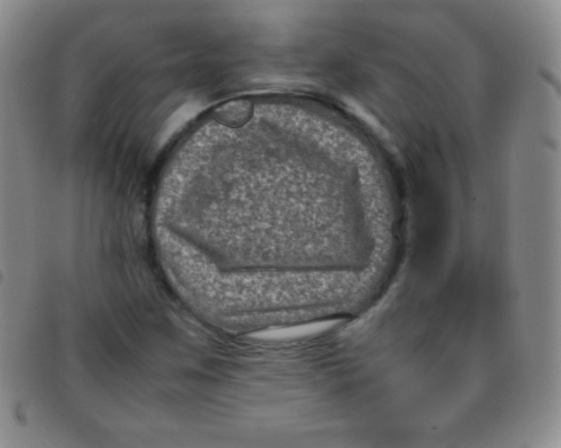 X0000097481259200803141927