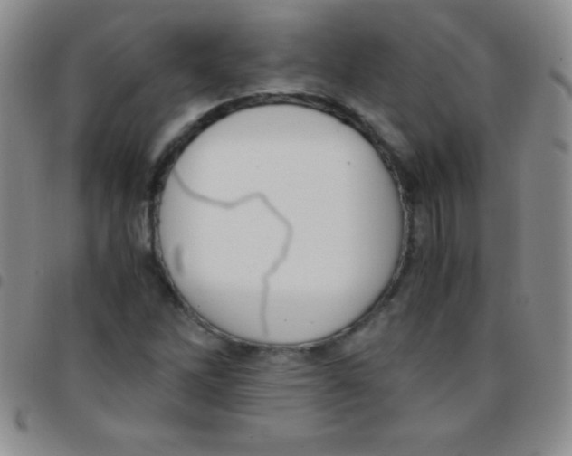 X0000097481262200803141927