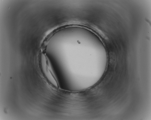 X0000097481264200803141927