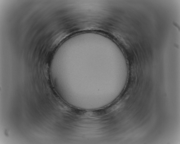 X0000097481265200803141927