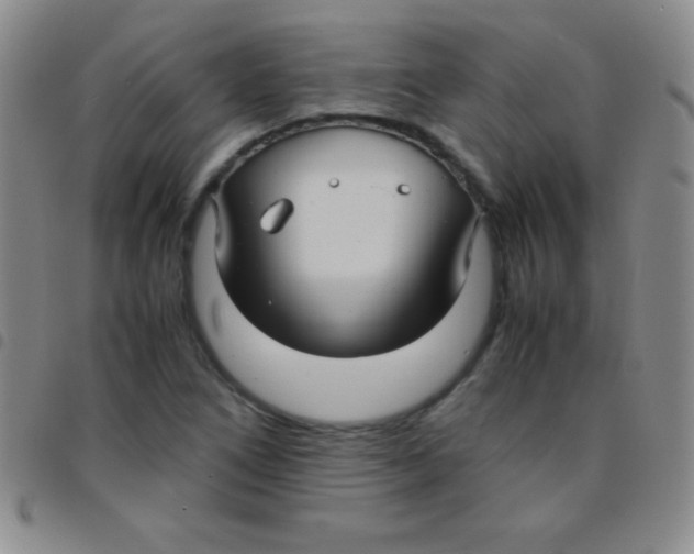 X0000097481266200803141927