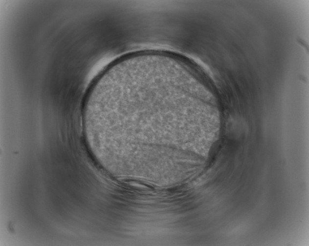 X0000097481271200803141927