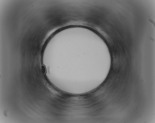 X0000097481272200803141927