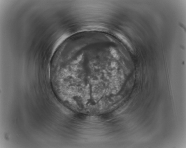 X0000097481275200803141927