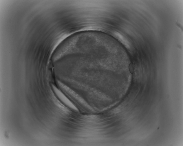 X0000097481276200803141927