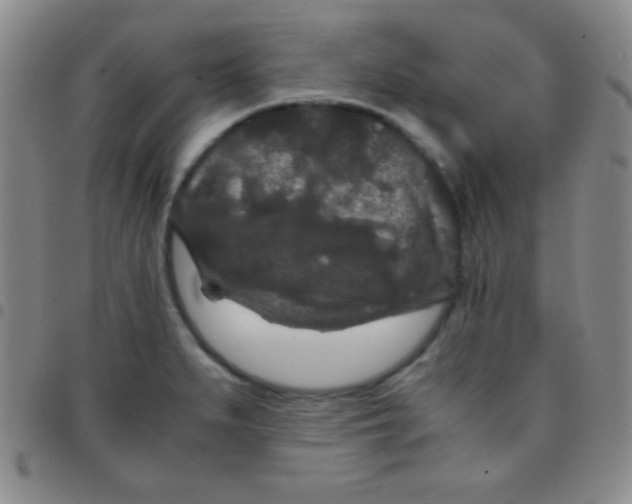 X0000097481279200803141927