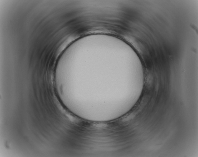 X0000097481282200803141927