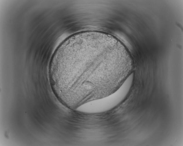 X0000097481283200803141927