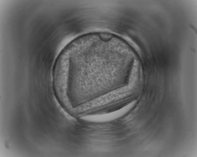 X0000097481287200803141927