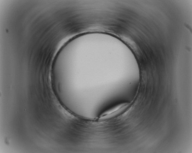 X0000097481288200803141927