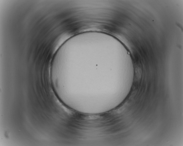 X0000097481290200803141926