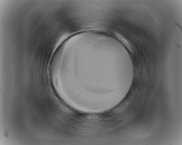 X0000097481291200803141926