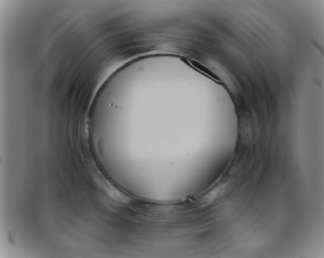 X0000097481292200803141926