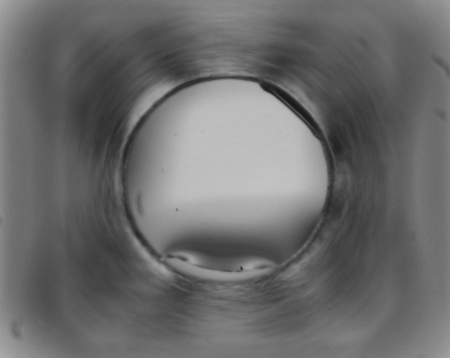 X0000097481293200803141926