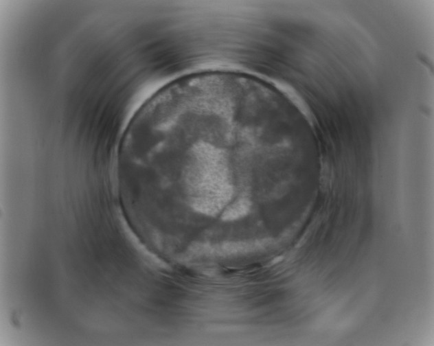 X0000097481295200803141926