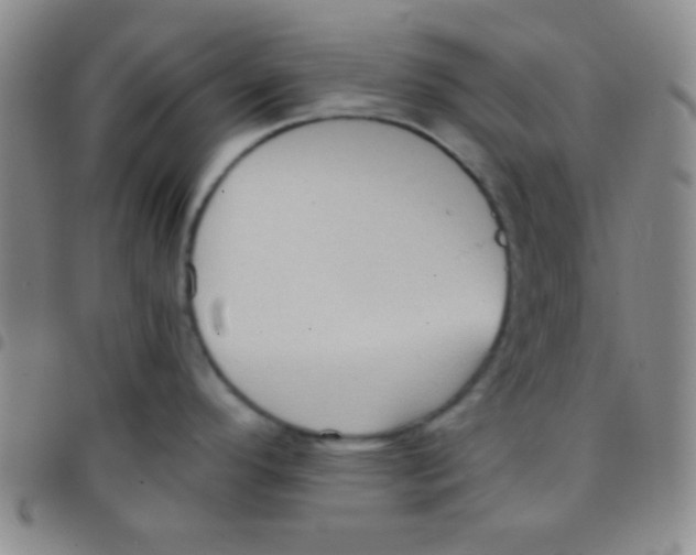 X0000097481296200803141926